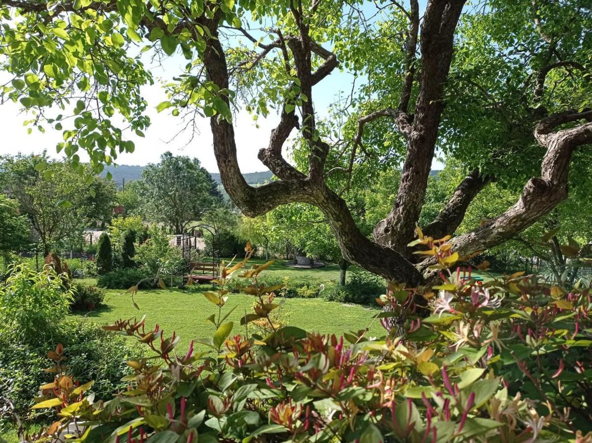 Villa Prolet General-Kantardzhievo Экстерьер фото
